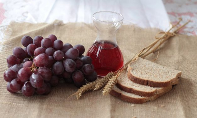 Manastirsko vino i rakija