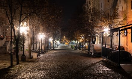 Najbolji restorani u Skadarliji