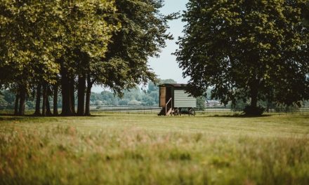 Glamping – luksuzno kampovanje