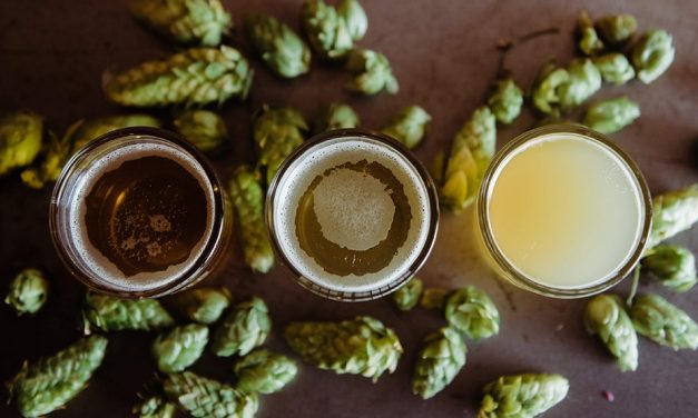 Hmelj – sve o hmelju za pivare početnike