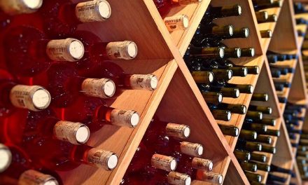 Vinarije – Top 10 vinarija u Srbiji