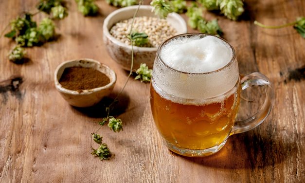 Lager pivo – Najpopularnija vrsta piva