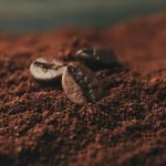 Kafa je popularna širom sveta – A ko kakvu kafu pije?